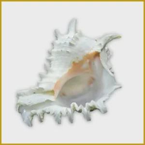 Ganesh Shankh